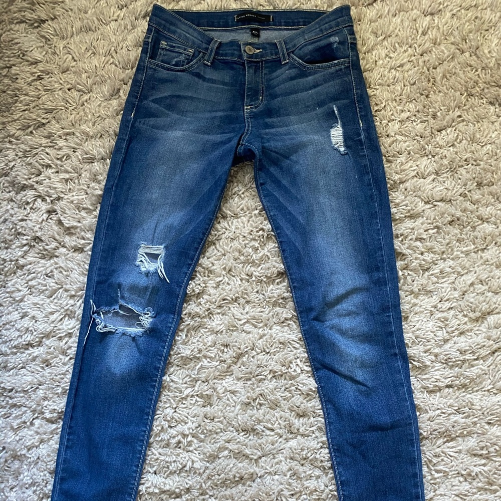 Flying Monkey Platinum Distressed Skinny Jeans